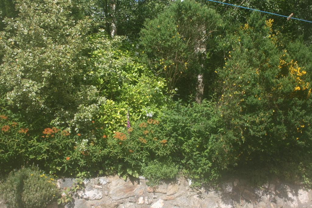 Laragh Mountain View Lodge Saggart Ruang foto