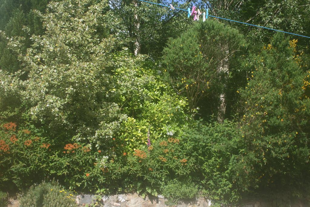 Laragh Mountain View Lodge Saggart Ruang foto
